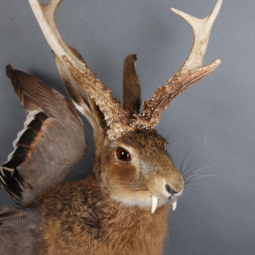 3401 - Taxidermy: “Wolpertinger”. Full mount, with one paw raised, on log base. A particularly fine example... 