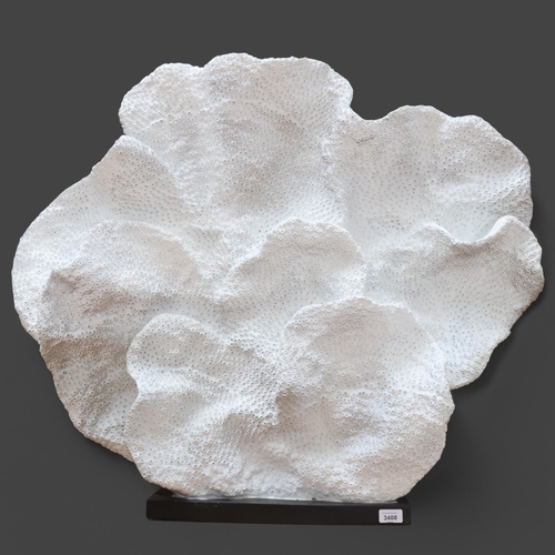 3408 - Natural History : A pair of large white coral resin fans on stained black bases, Heigh 86cm.