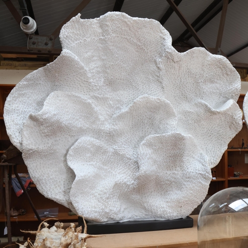 3408 - Natural History : A pair of large white coral resin fans on stained black bases, Heigh 86cm.