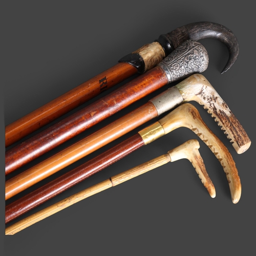 3413 - Natural History : Four horn handled riding crops, and a Malacca cane with white metal top, (5).