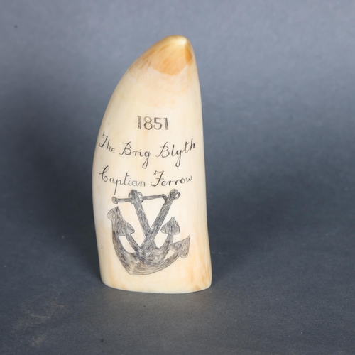 3419 - Natural History : Scrimshaw Whale Tooth, 19th century.
A large polished sperm whale tooth with carve... 