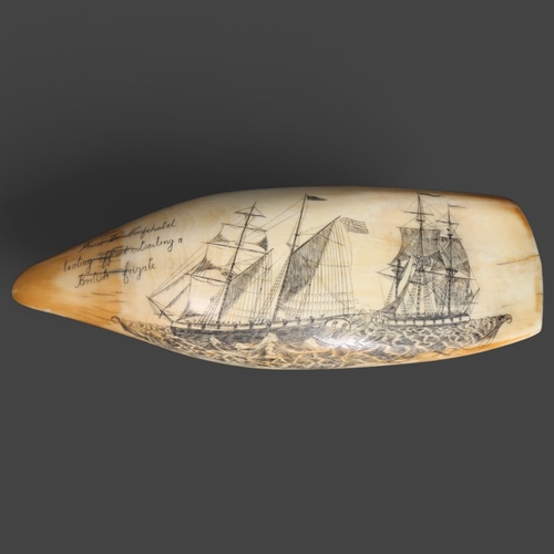 3420 - Natural History : Scrimshaw Whale Tooth, 19th century.
A large polished sperm whale tooth with carve... 