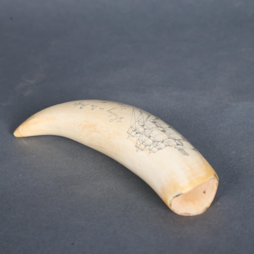 3421 - Natural History :  Scrimshaw Whale Tooth, 19th century.
A large polished sperm whale tooth with carv... 