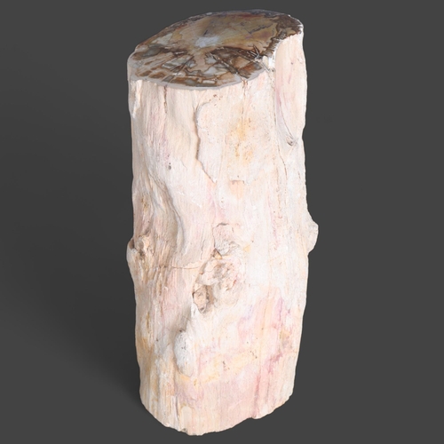 3426 - Natural History : A large section of fossilised tree, length 30cm, diameter 14cm