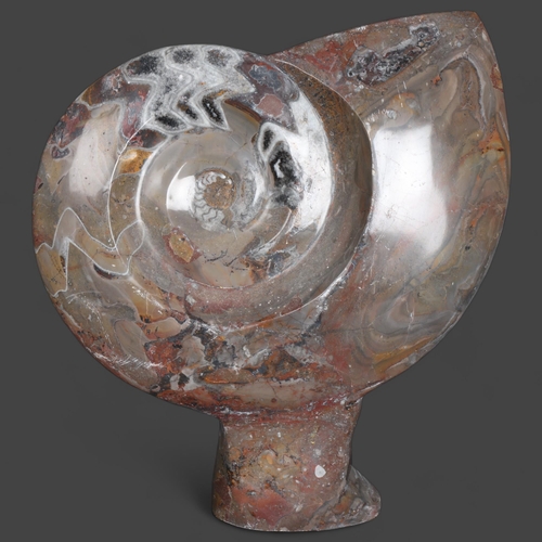 3430 - Natural History : A large polished ammonite, height 39cm.