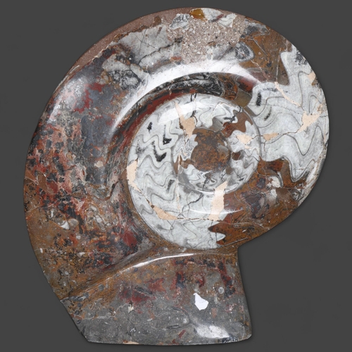 3432 - Natural History : A large polished ammonite, height 34cm.