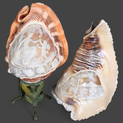 3434 - Natural History : Two relief carved Cameo conch shells in the form of table lamps, tallest 23cm, (2)... 