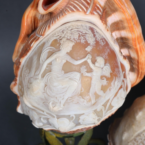 3434 - Natural History : Two relief carved Cameo conch shells in the form of table lamps, tallest 23cm, (2)... 