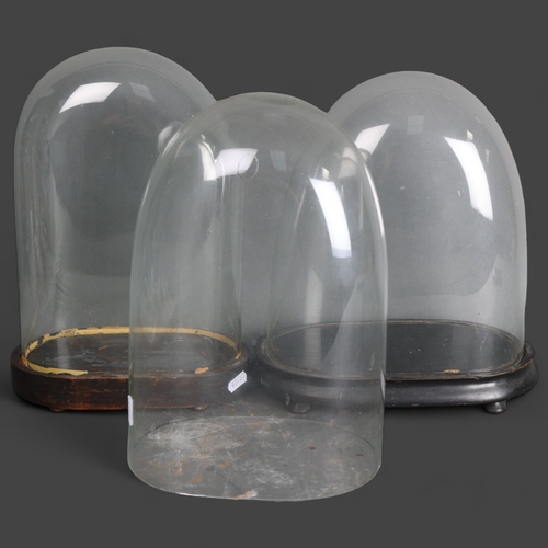 3496 - Two antique oval glass domes on stained wood bases and a third with no associated base, largest, ove... 