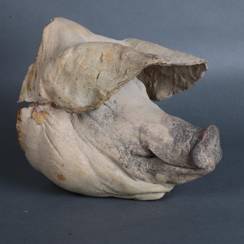 3509 - Curiosity/Macabre : A stage prop, rubber molded, foam filled pig's head, length to pig's snout 26cm,... 