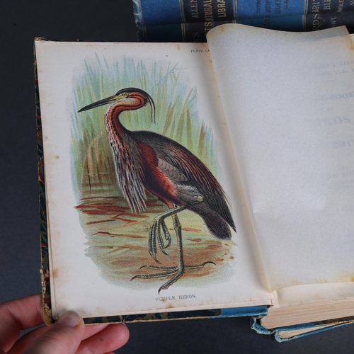 3510 - Ornithology : Allen's Naturalists' Library, A Handbook to Game and British Birds, by W.R. Ogilvie-Gr... 