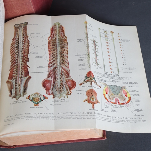 3512 - Human Anatomy : Harmsworth's Home Doctor, Books I, II and III.