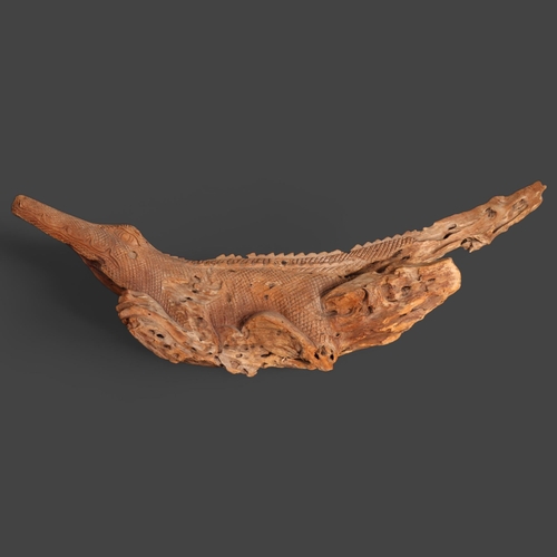 3526 - Natural History : A large carved driftwood sculpture of crocodile, unsigned, length 96cm.