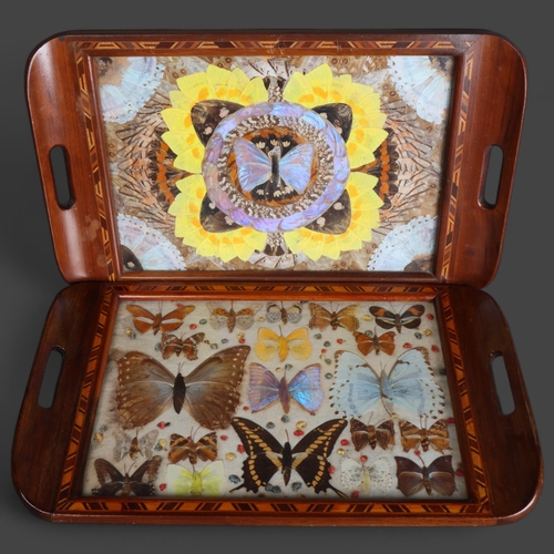 3559 - Lepidopterology - two similar vintage teak and marquetry inlaid full butterfly and butterfly wing tr... 