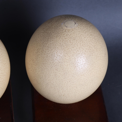 3567 - Natural History - two similar Ostrich eggs, mounted on wooden display stands, height 18cm, (2).