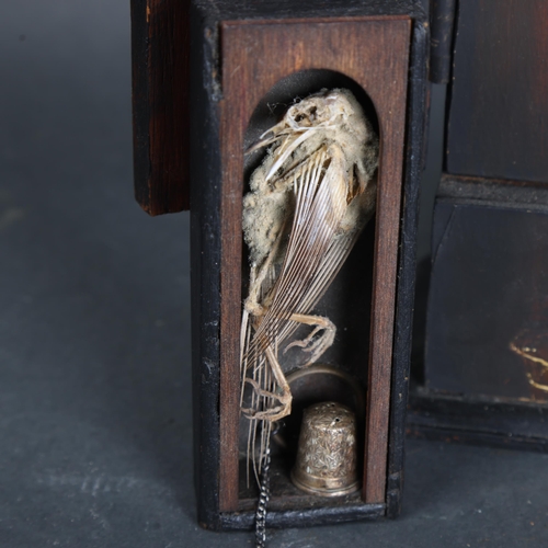 3568 - Jackie Attwood - a small painted wooden display housing a mummified Goldfinch skeleton, metallic cha... 