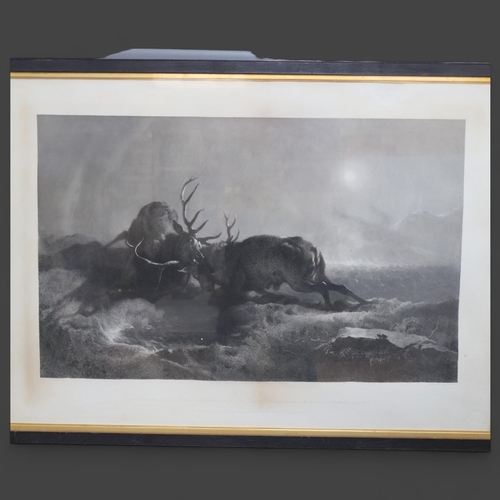 3589 - Natural History - a large antique engraving entitled 'Night', depicting two large Red Deer Stags rut... 