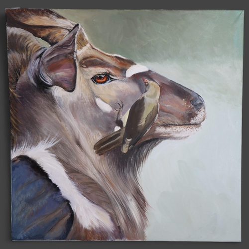 3597 - Clive Fredriksson - an oil on canvas, study of a Kudu antelope, head mount with bird catching insect... 