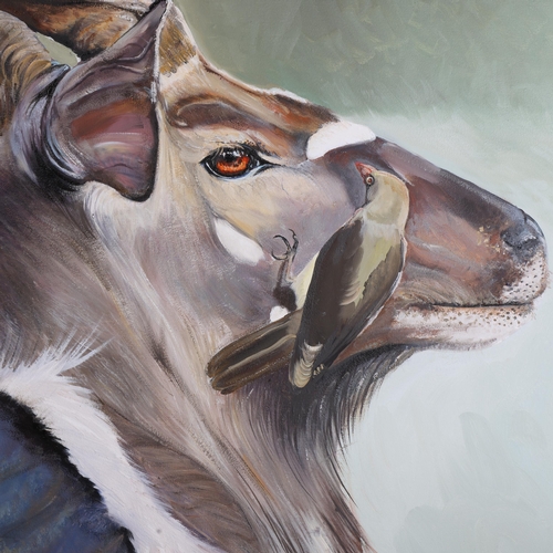 3597 - Clive Fredriksson - an oil on canvas, study of a Kudu antelope, head mount with bird catching insect... 