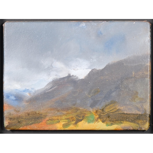 10 - Alan Rankle, Norway studies, pair of oils on canvas laid on board, 2003, image 14cm x 20cm, framed (... 