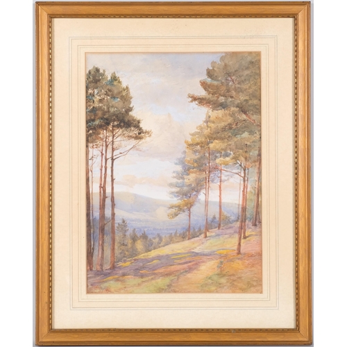 14 - Attributed to Gladys Bennett, extensive Sussex landscape, watercolour, unsigned, 36cm x 26cm, framed