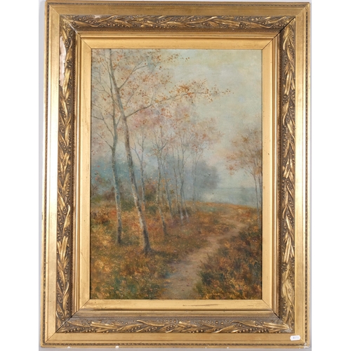 18 - Autumnal woodland scene, 19th century oil on canvas, unsigned, 66cm x 46cm, framed