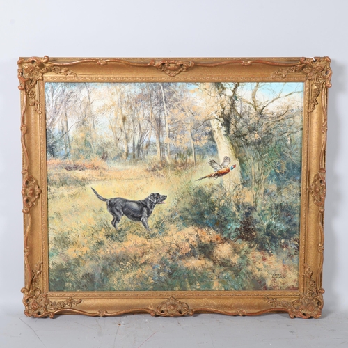 215 - Henry Wilkinson, Gundog and pheasant in woodland, oil on canvas, 50cm x 61cm, framed