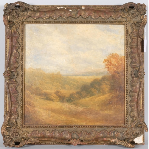 37 - Extensive landscape, 19th century oil on millboard, unsigned, 33cm x 34cm, framed