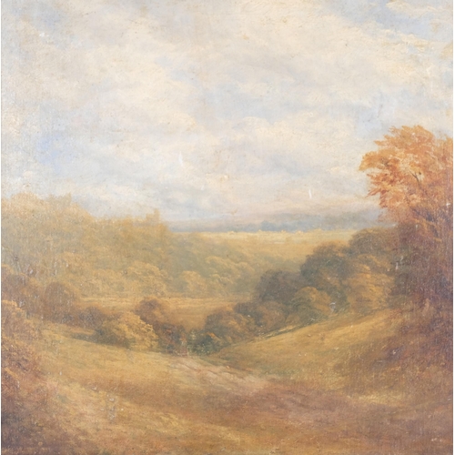 37 - Extensive landscape, 19th century oil on millboard, unsigned, 33cm x 34cm, framed