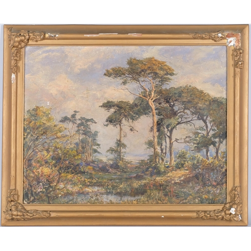 43 - Wooded landscape, early 20th century oil on board, indistinctly signed, 44cm x 57cm, framed