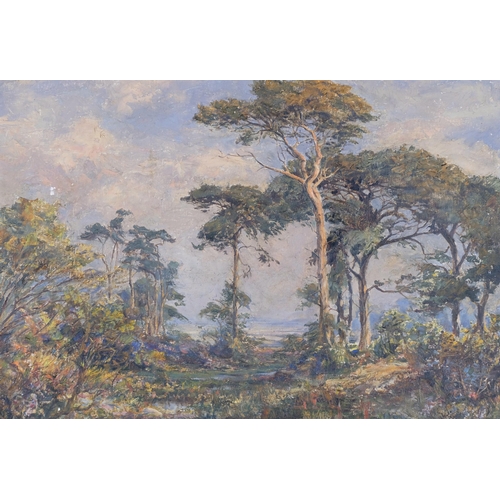 43 - Wooded landscape, early 20th century oil on board, indistinctly signed, 44cm x 57cm, framed