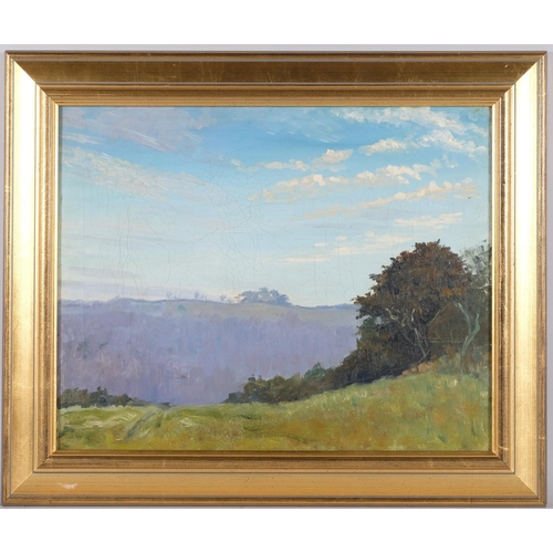 72 - Extensive landscape, mid-20th century oil on canvas, unsigned, 41cm x 51cm, framed