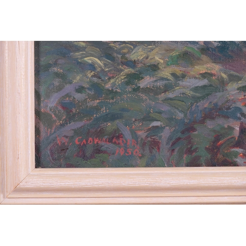 81 - William Cadwalader (active 1905 - 1911), a woodland clearing, oil on board, 1950, 36cm x 47cm, frame... 