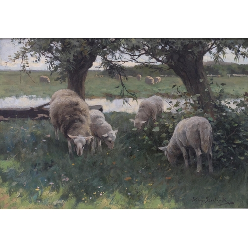 94 - William Steelink (Dutch, born 1856), sheep beside stream, oil on canvas, 32cm x 47cm, framed