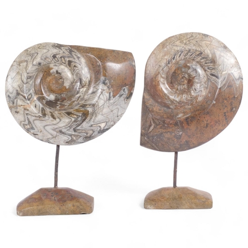 14 - A pair of large polished ammonite fossils, on wrought-iron and stone bases, largest fossil width 30c... 