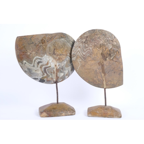 14 - A pair of large polished ammonite fossils, on wrought-iron and stone bases, largest fossil width 30c... 