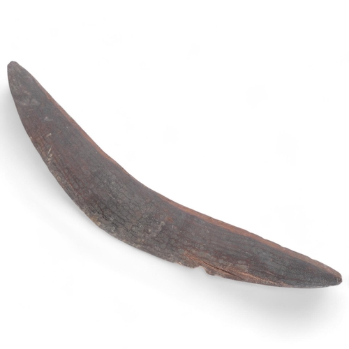 2 - An Australian Aboriginal boomerang, 50cm