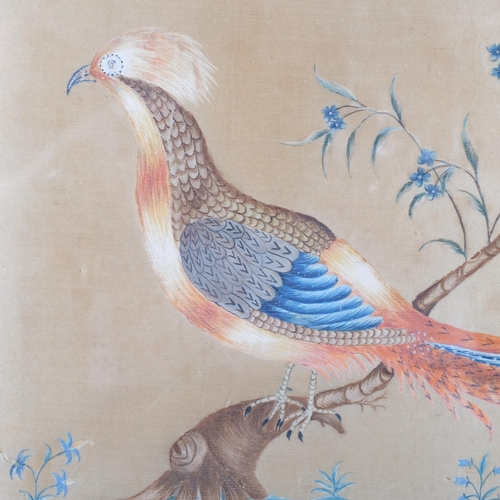 465 - A pair of Antique framed Oriental paintings on silk, depicting pheasants and foliage, 28cm x 40.5cm ... 