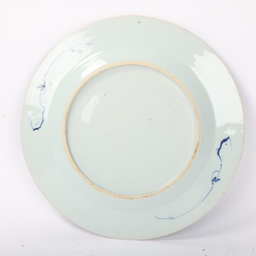 193 - A Chinese blue and white porcelain plate, with painted botanical design, diameter 27cm