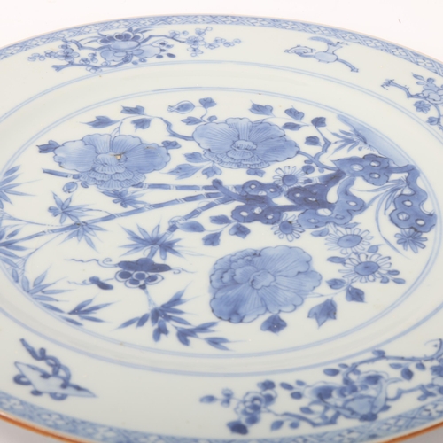 193 - A Chinese blue and white porcelain plate, with painted botanical design, diameter 27cm