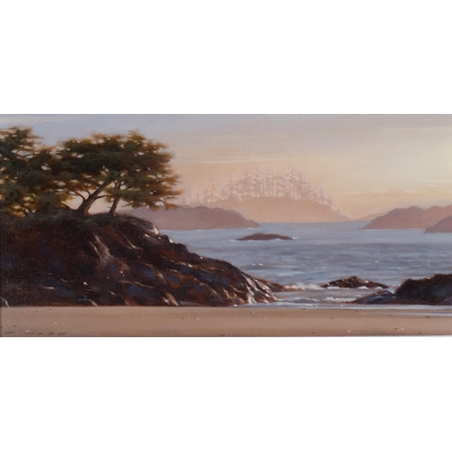 704 - Ray Ward, Vancouver Island, oil on board, 14cm x 29cm, framed, provenance: White Rock Gallery, Briti... 