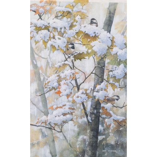 745 - Don Li-Leger (1948 - 2019), sunny maple chickadees, watercolour, 54cm x 33cm, framed, provenance: Pe... 