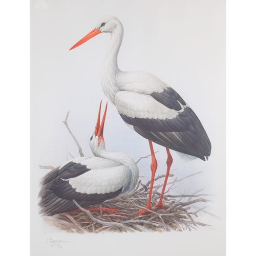 762 - James Fenwick Lansdowne, pair of large format studies of a White Stork and Impeyan Monal, collotypes... 