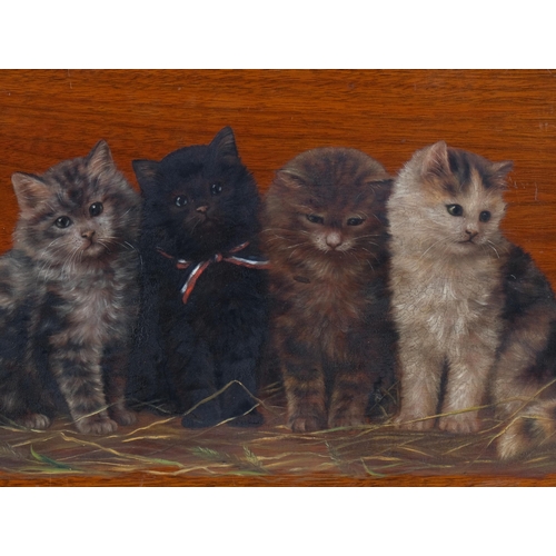 768 - Bessie Bamber, 4 cats, oil on wood panel, signed with monogram, 23cm x 41cm, unframed