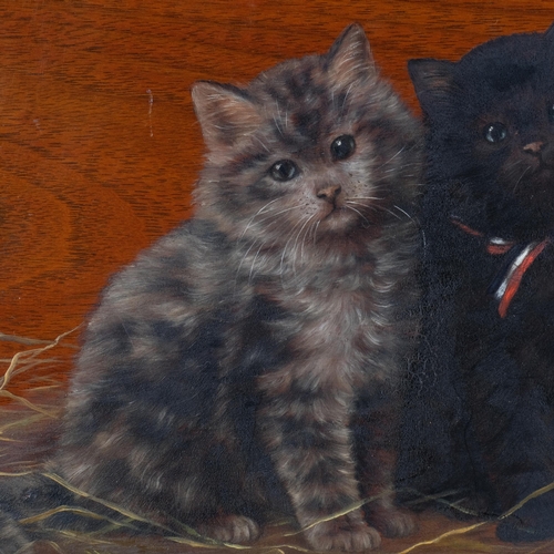 768 - Bessie Bamber, 4 cats, oil on wood panel, signed with monogram, 23cm x 41cm, unframed