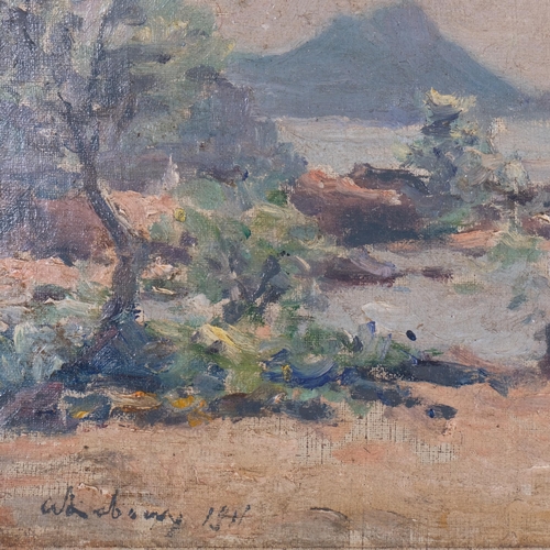 784 - Impressionist Continental coastal view, oil on canvas laid on board, indistinctly signed, 25cm x 35c... 