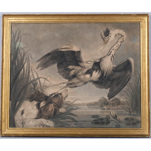 795 - Heron and Spaniel, early 19th century lithograph, 47cm x 59cm, framed and glazed