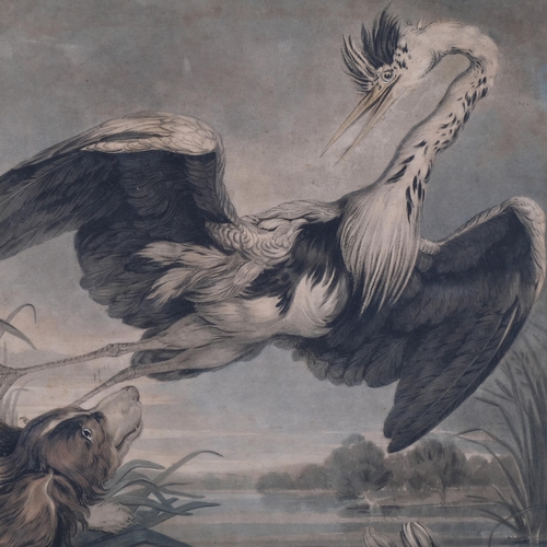 795 - Heron and Spaniel, early 19th century lithograph, 47cm x 59cm, framed and glazed