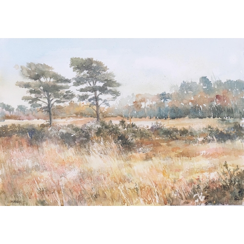 807 - C Mann, wooded landscape, watercolour, 24cm x 35cm, framed