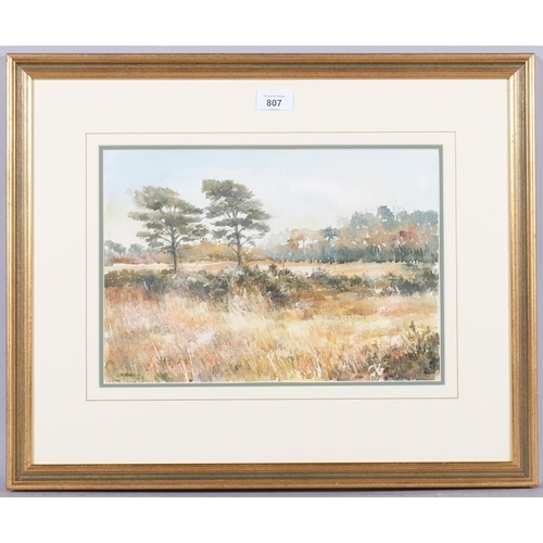 807 - C Mann, wooded landscape, watercolour, 24cm x 35cm, framed